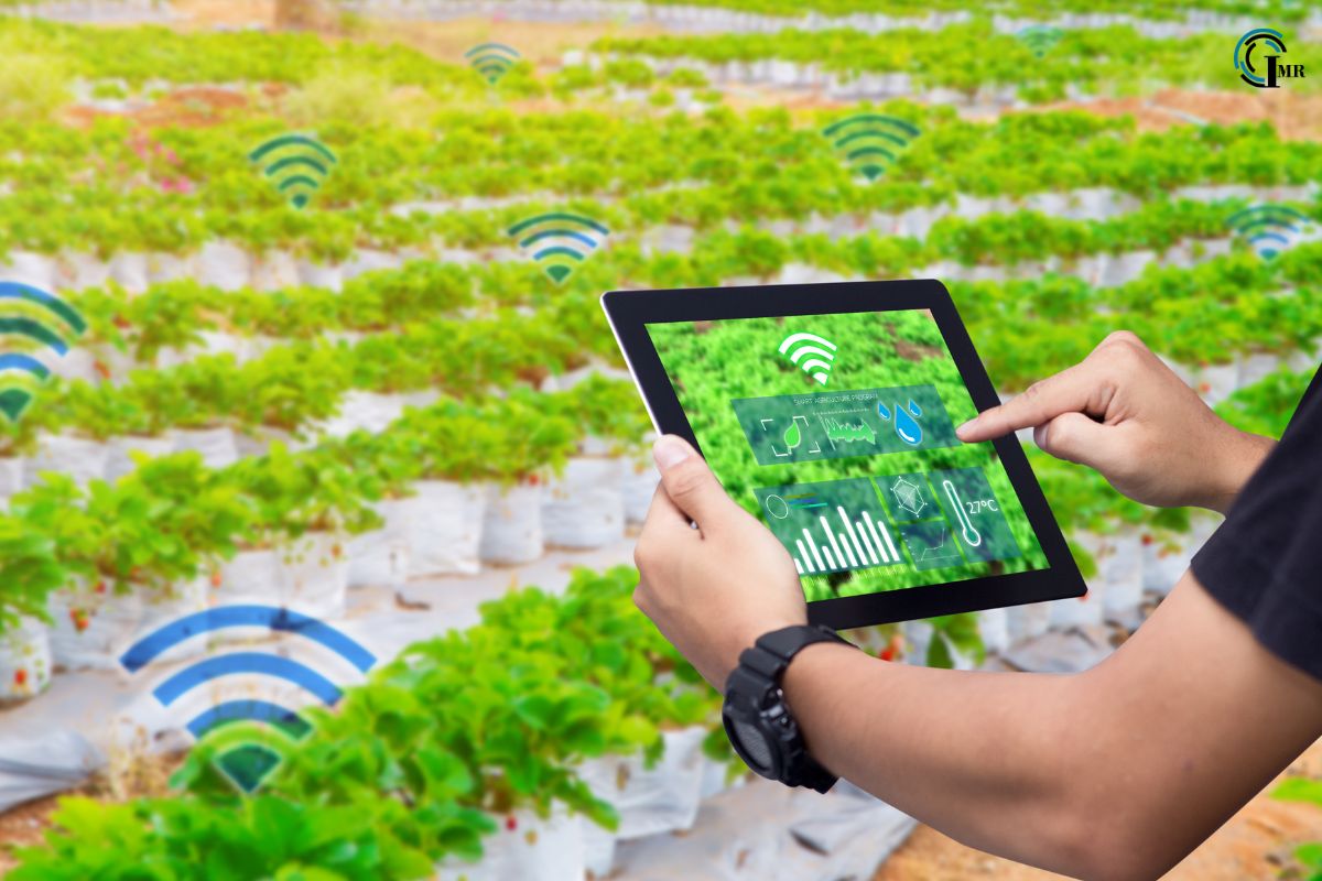 Unleashing the Power of Agriculture Sensors in Precision Farming | Insider Market Research