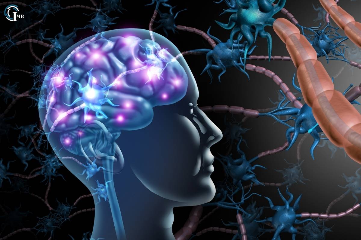 Blood-Brain Barrier: Exploring its Structure, Function, Significance in Neurological Health | Insider Market Research