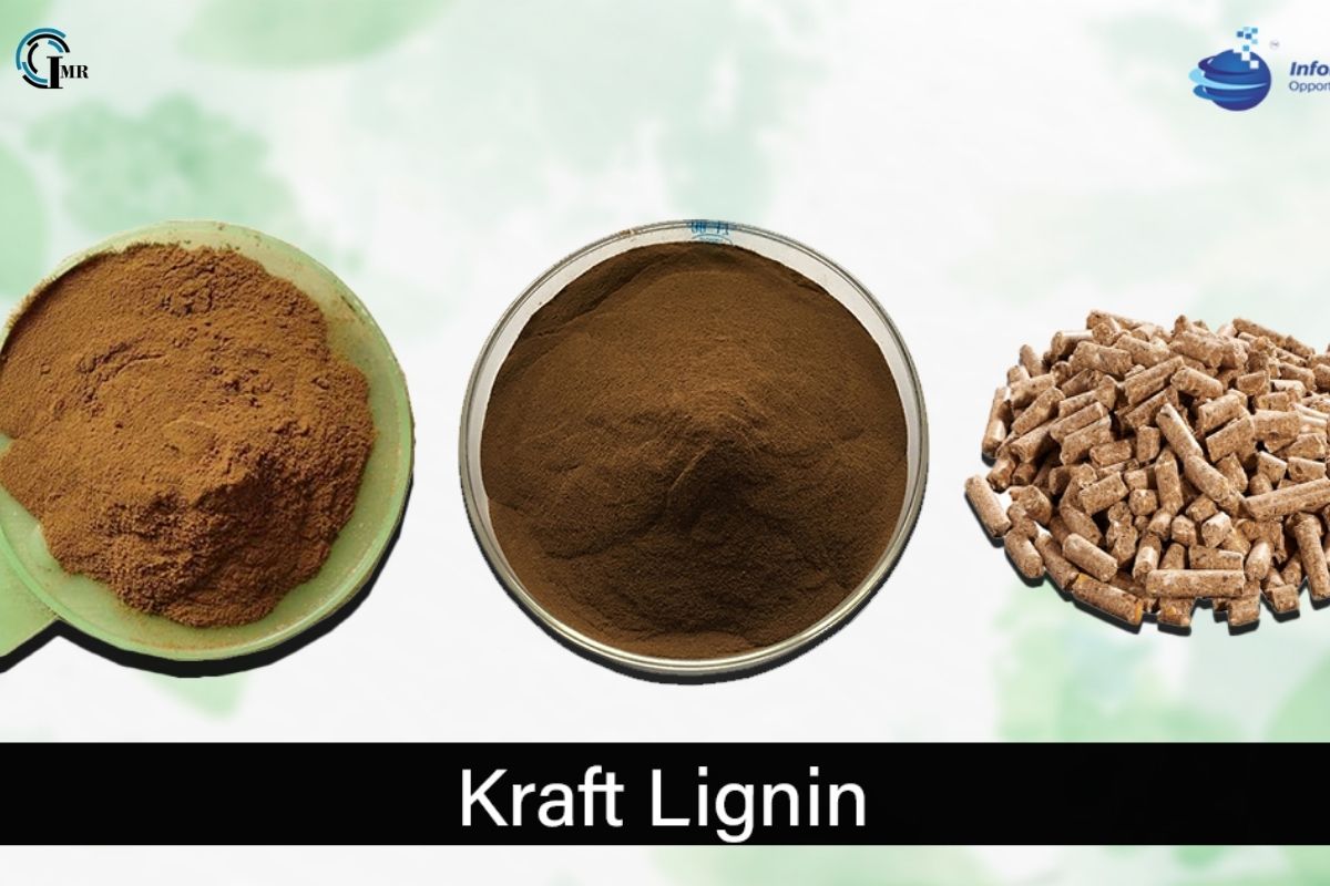 Kraft Lignin Products: Future Prospects, Challenges, Innovations and Research | Insider Market Research