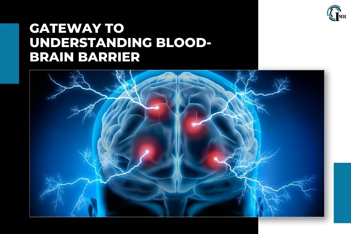 Blood-Brain Barrier: Exploring its Structure, Function, Significance in Neurological Health | Insider Market Research