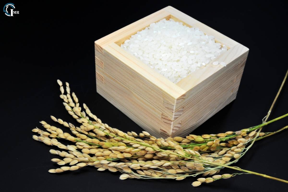 Rice Husk Ash: Properties, Applications, Environmental Impact and Sustainability | Insider Market Research