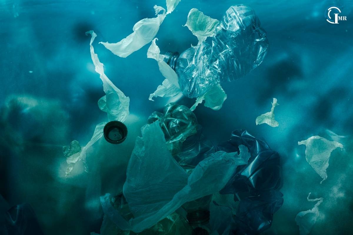 6 Key Environmental Impacts of Plastics | Insider Market Research