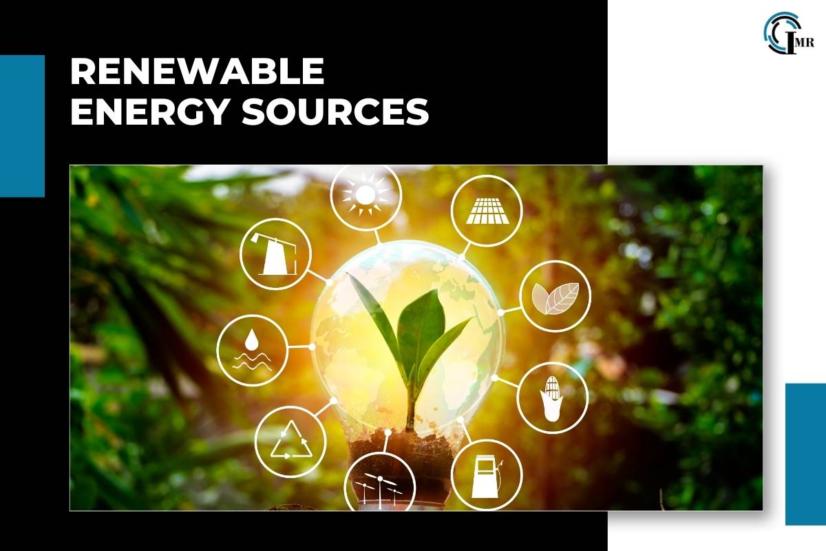 Top 5 Renewable Energy Sources for the Future | Insider Market Research