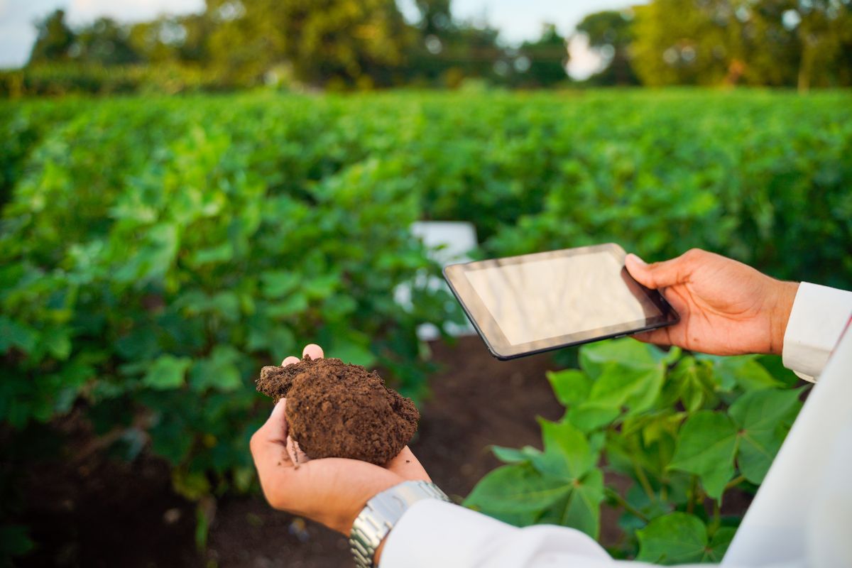 Role of Organic Fertilizers in Soil Health: Key Components, Best Practices | Insider Market Research