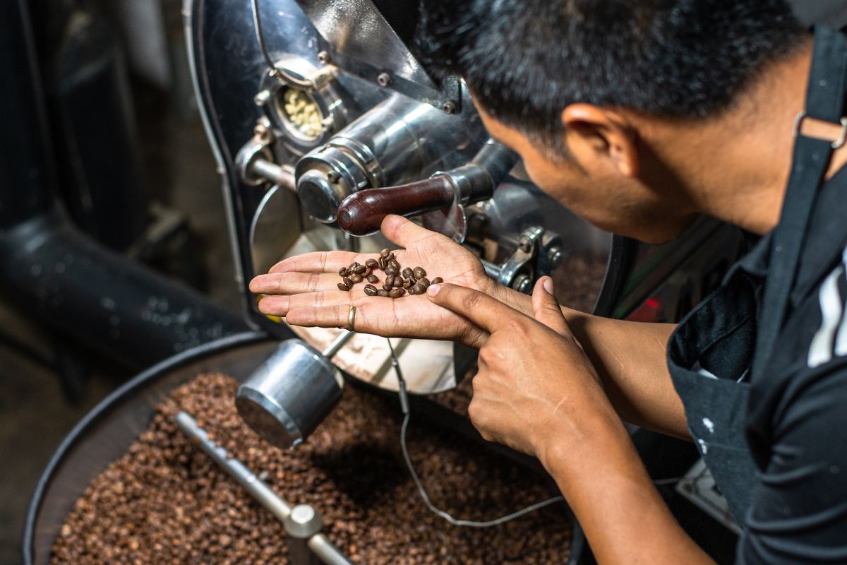 Roasting Revolution: Top Changes in Coffee Roaster Industry | Insider Market Research