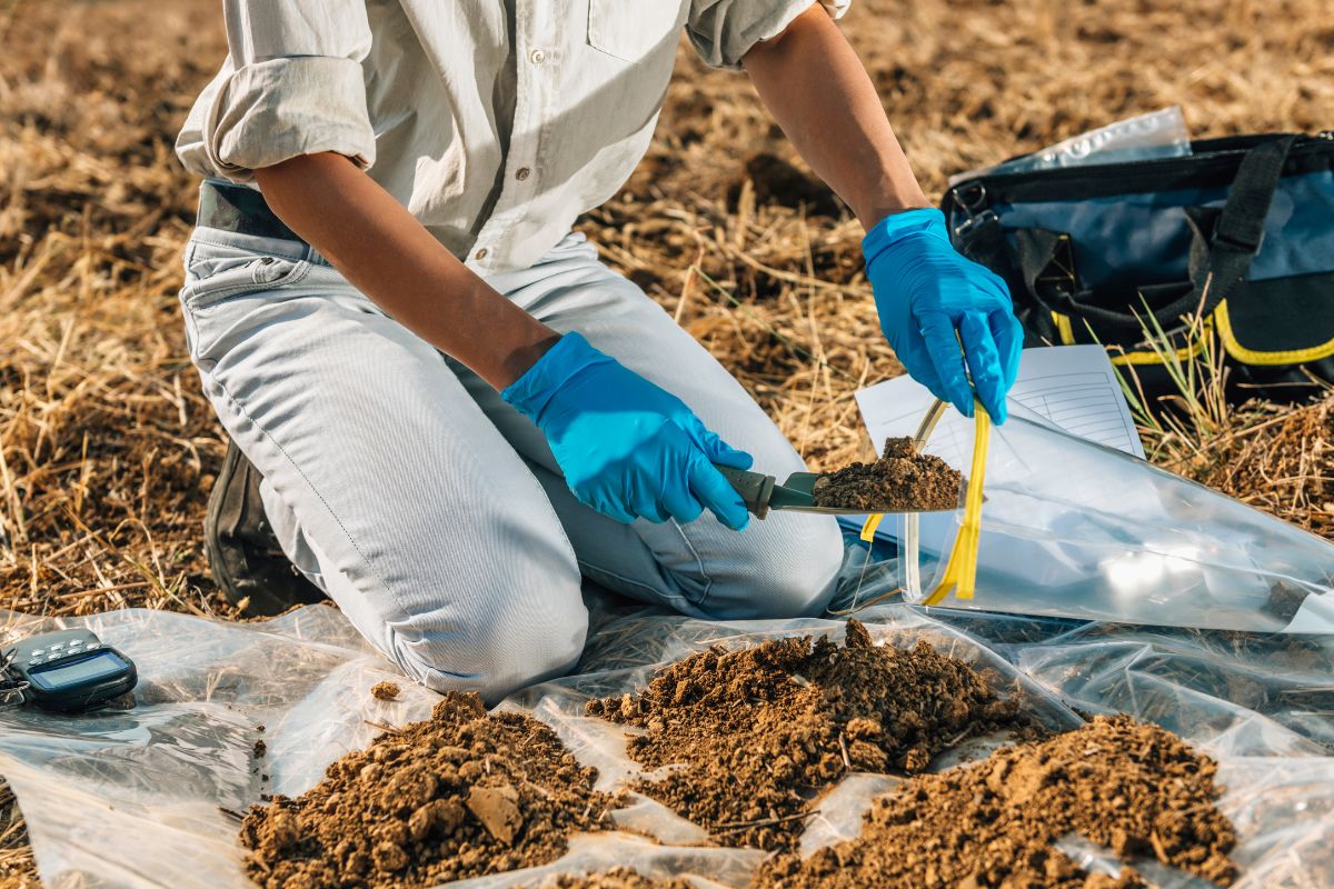 Role of Organic Fertilizers in Soil Health: Key Components, Best Practices | Insider Market Research