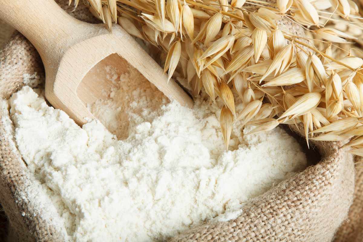 The Magic of Malted Barley Flour: Benefits and Uses | Insider Market Research