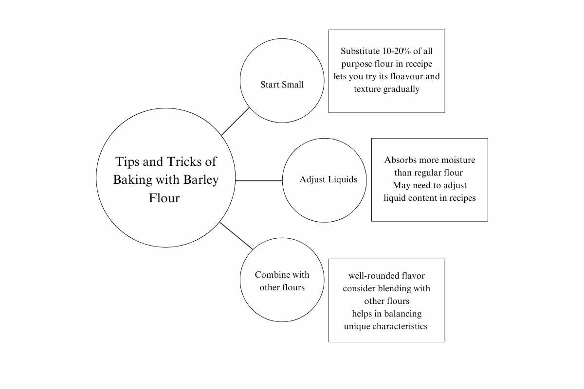 The Magic of Malted Barley Flour: Benefits and Uses | Insider Market Research