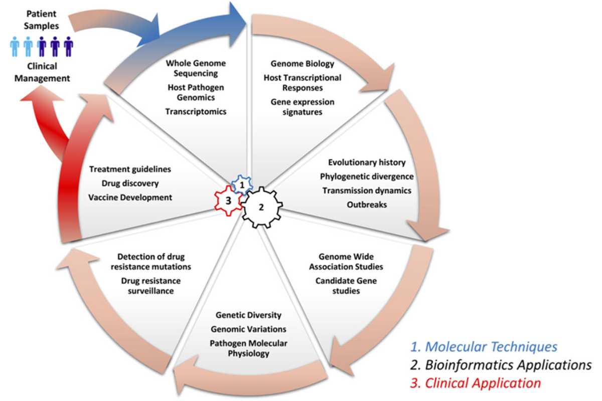 Bioinformatics for Immunology: Transforming Immune System Research | Insider Market Research